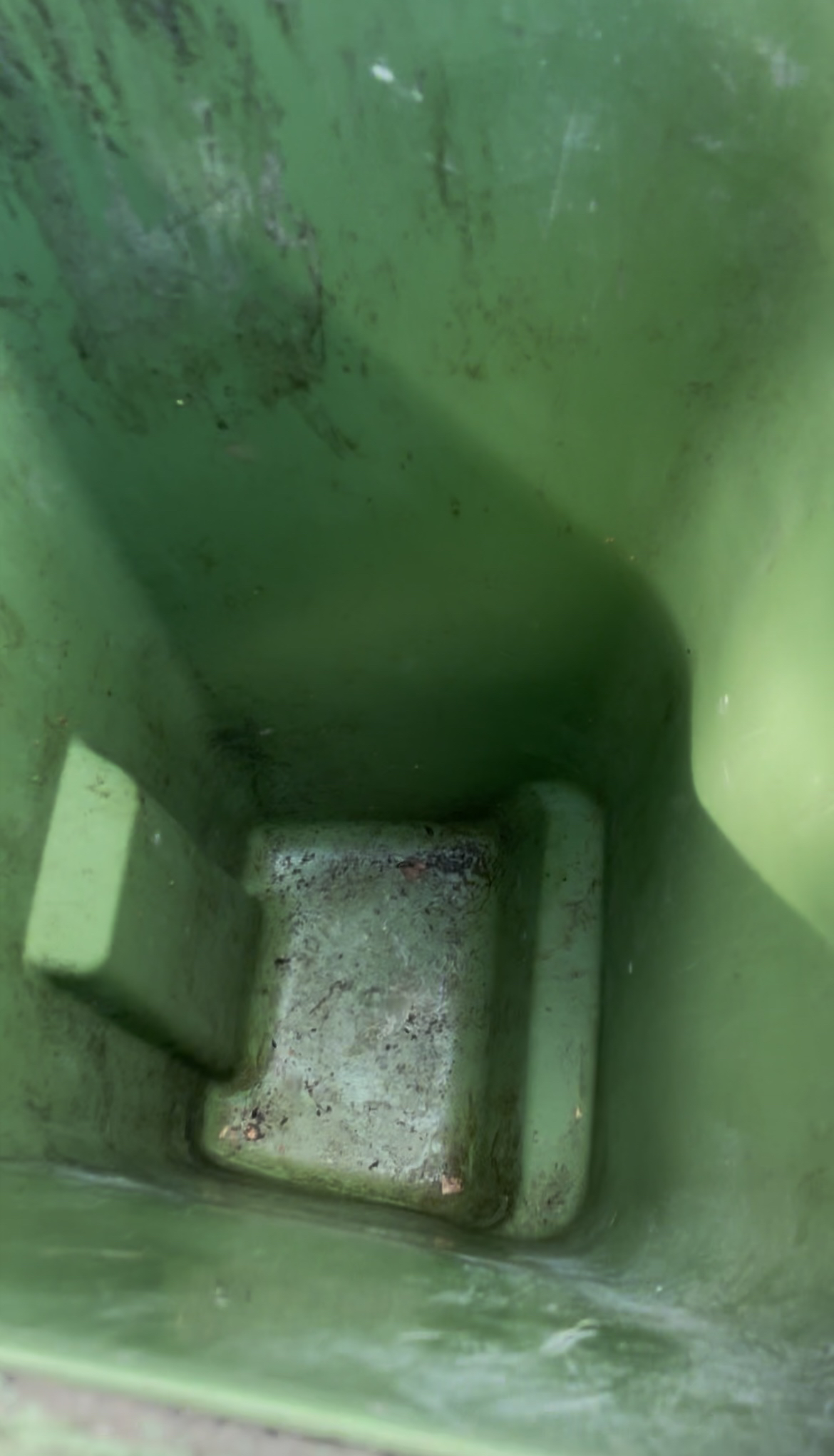 Smutsig soptunna före rengöring